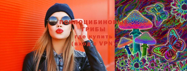 ПСИЛОЦИБИНОВЫЕ ГРИБЫ Алексин