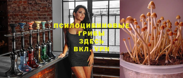 ПСИЛОЦИБИНОВЫЕ ГРИБЫ Алексин