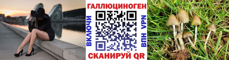 Псилоцибиновые грибы GOLDEN TEACHER  KRAKEN рабочий сайт  Сарапул 