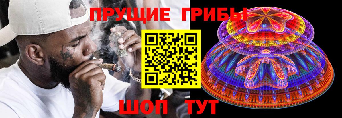 Псилоцибиновые грибы Psilocybe Сарапул